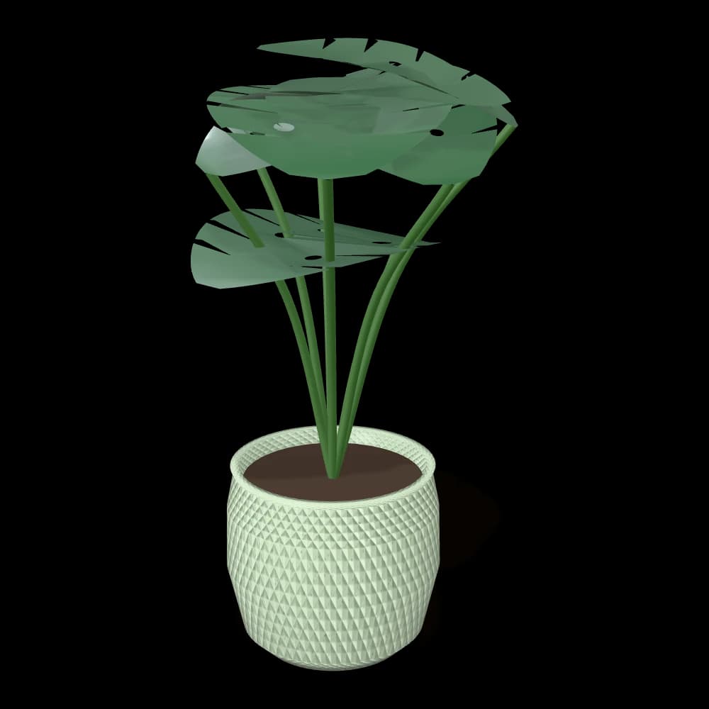 Monstera in Textured Pot
